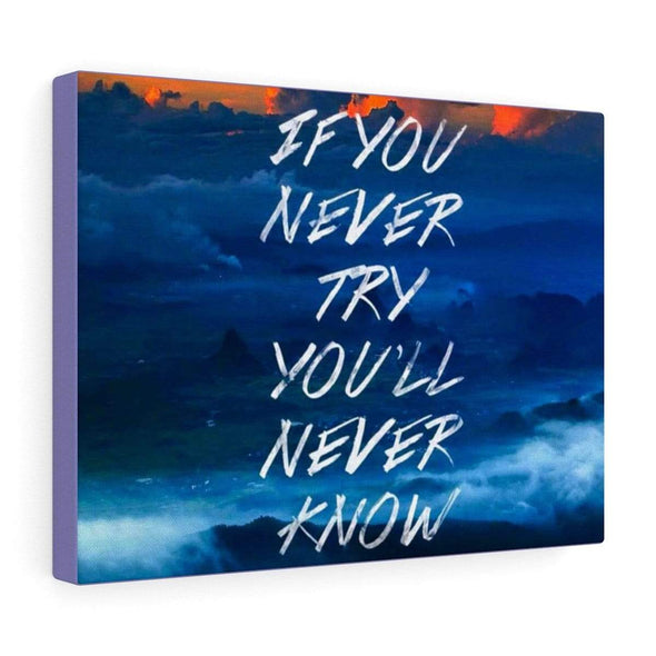 Motivational Wall Art "If You Never Try You'll Never Know"